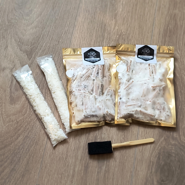 Shitake mycelium plugs spawn kit Shitake mycelium plugs spawn kit